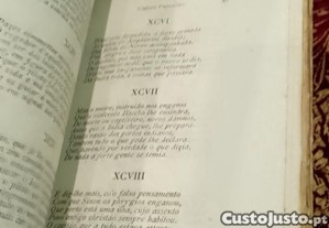 imagem_7