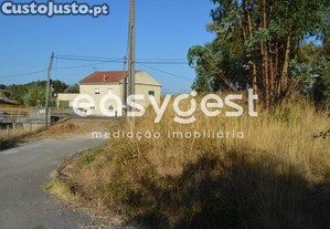 imagem_15