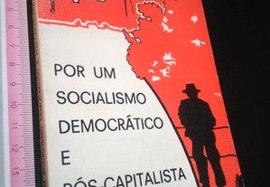 Por um socialismo democrático e pós-capitalista - Artur Parreira