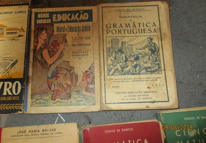 imagem_3