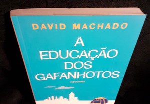 A Educação dos Gafanhotos, de David Machado. Impec