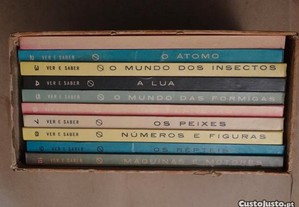 imagem_4