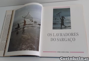 imagem_6