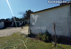 imagem_7