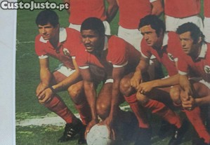 imagem_4