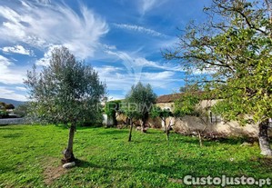imagem_28