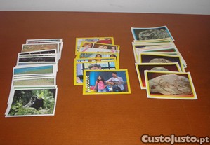 imagem_1