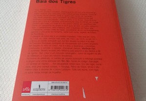 imagem_2