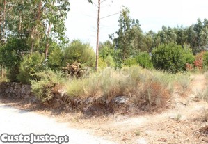 Terreno Rústico Em Paranhos Da Beira, Seia