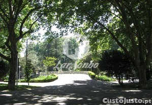 imagem_30