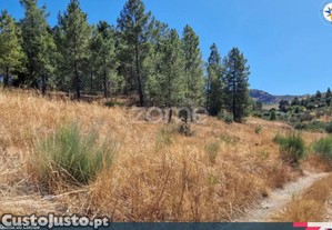 Quinta Do Cachão - Refúgio Agrícola No Vale Do Tua