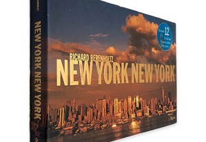 New York New York - Richard Berenholtz