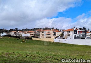 imagem_22