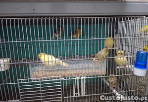 imagem_2
