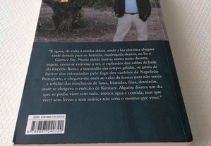 imagem_2