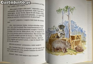 imagem_3