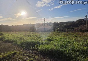 imagem_29
