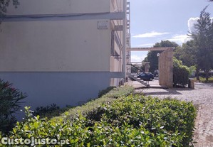 imagem_23