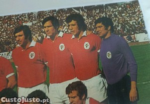 imagem_6