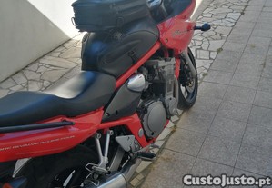 imagem_2