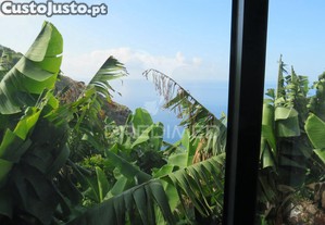 imagem_22