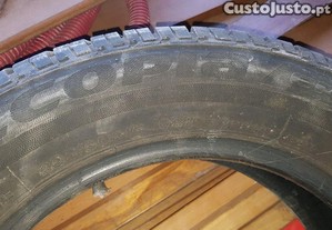 imagem_12