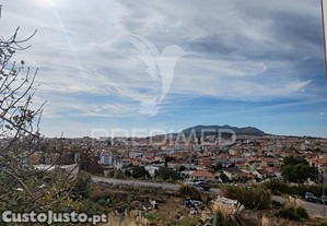imagem_24
