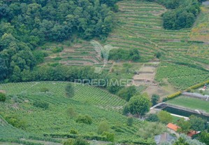 Quinta c/ vinha em produção em santa marta de penaguião