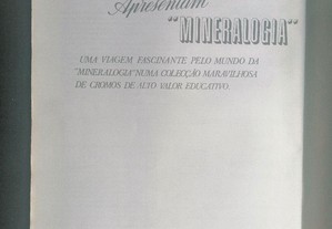 imagem_7