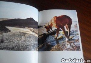 imagem_7