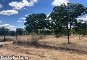 Terreno Rustico com 13050m2