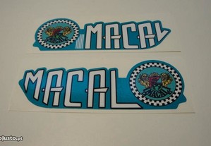 imagem_7