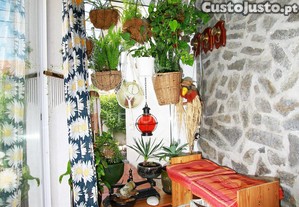 imagem_13