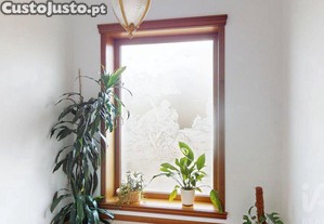imagem_29
