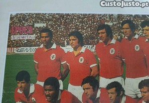 imagem_7