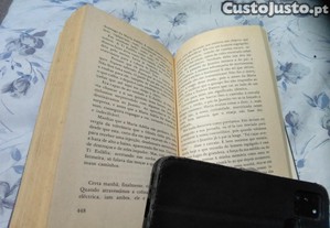 imagem_7