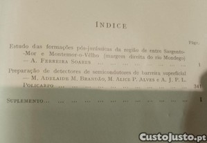 imagem_10
