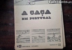 imagem_5