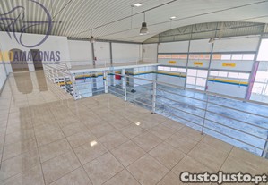 imagem_15