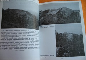 imagem_7