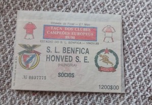 Bilhete Benfica . Honved Budapest 1989/90