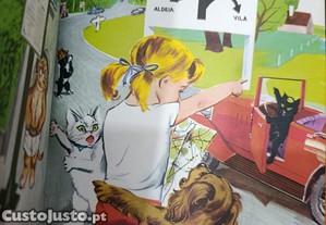 imagem_5