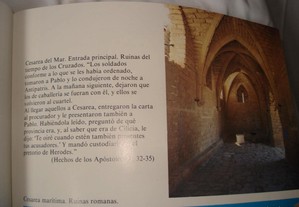 imagem_7