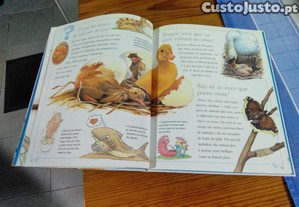 imagem_6