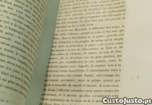 imagem_8