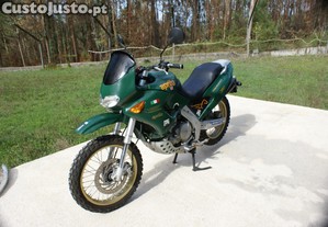 imagem_2