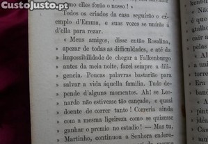 imagem_8