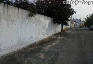 imagem_12