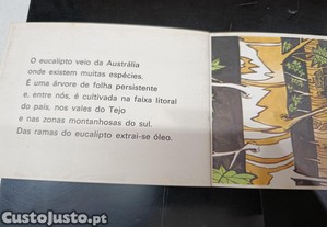 imagem_5