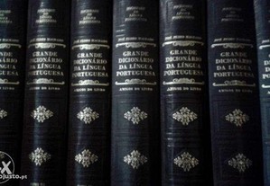 Grande dicionário antigo da língua portuguesa